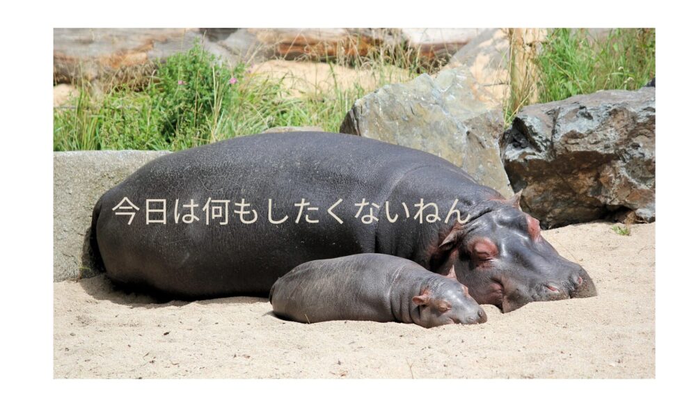 今日は何もしたくない